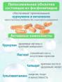 Липосомал Куркумин Мультивитамин эксперт 12 витаминов веган Nutricare Liposomal 60 капсул