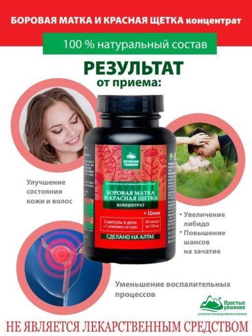 Концентрат Боровая матка и Красная щетка Цинк Алтайские Традиции №60