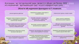 Альгифулам из бурых водорослей 30 капсул
