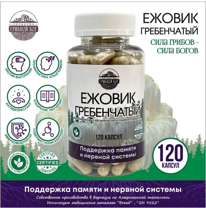Ежовик гребенчатый мицелий Грибной бог 120 капсул