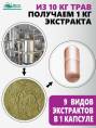 Концентрат Сахарный диабет Алтайские Традиции 60капс