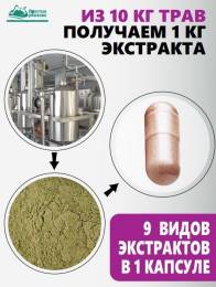Концентрат Сахарный диабет Алтайские Традиции 60капс