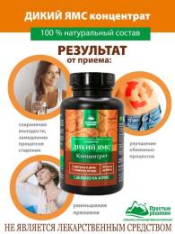 Концентрат Дикий Ямс с Витамином C Алтайские Традиции №60
