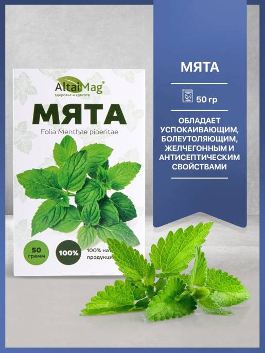 Мята чай сушеная перечная 50 гр