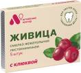 Смолка жевательная Живица с клюквой 5шт