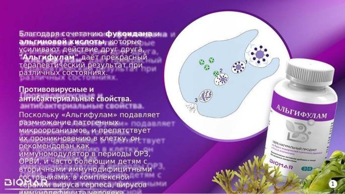 Альгифулам из бурых водорослей 30 капсул