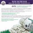 Ежовик гребенчатый мицелий Грибной бог 120 капсул