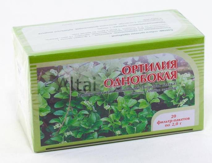 Боровая матка Ортилия однобокая побеги 20 пакетиков