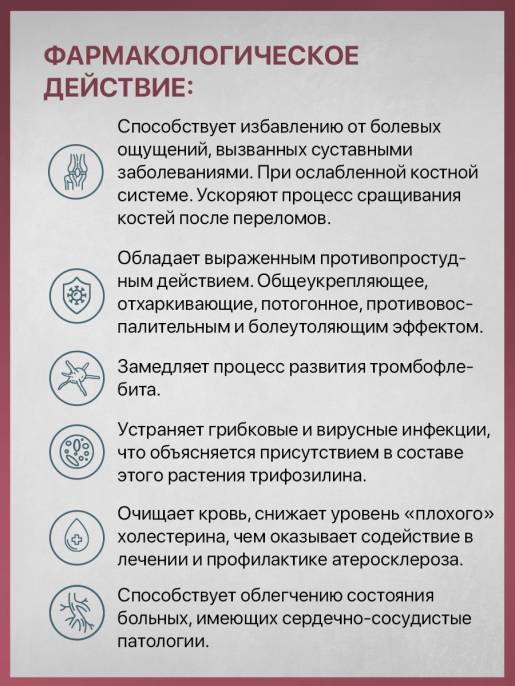 Клевер луговой побеги с цветками 50 г