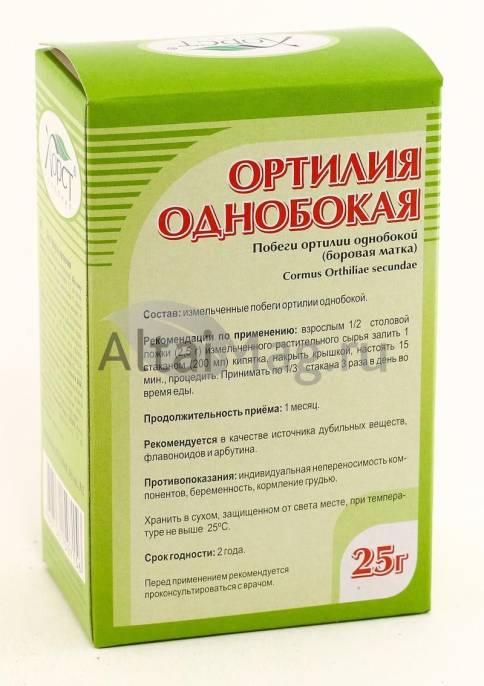 Боровая матка Ортилия однобокая побеги 25г
