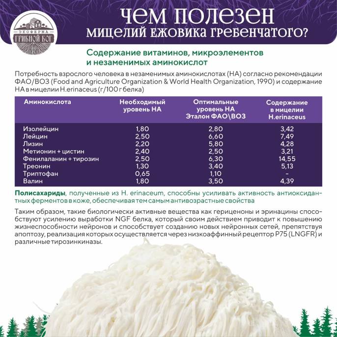 Ежовик гребенчатый мицелий Грибной бог 60 капсул