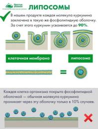 Липосомальный Куркумин Силимарин для печени Nutricare Liposomal БАД 60 капсул