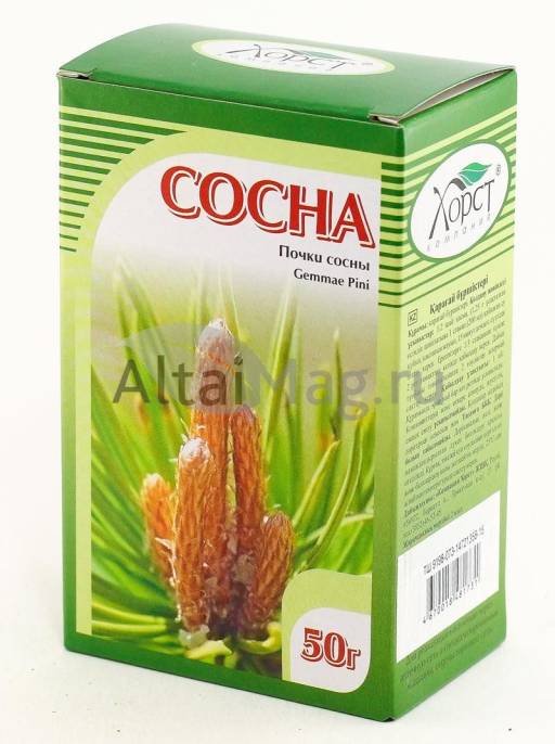 Сосны почки 50г