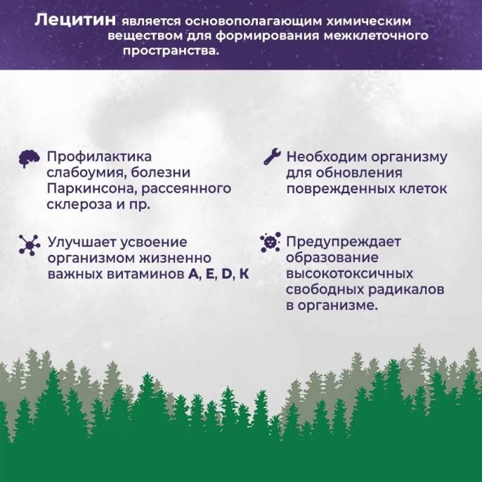 Лецитин Соевый порошковый 150г