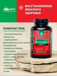 Концентрат Боровая матка и Красная щетка Цинк Алтайские Традиции №60