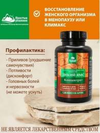 Концентрат Дикий Ямс с Витамином C Алтайские Традиции №60