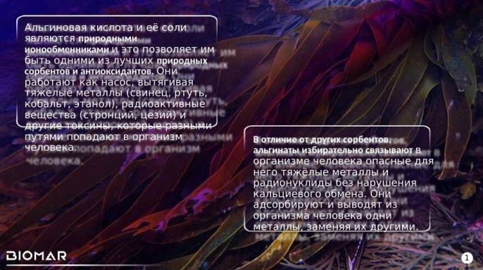 Альгифулам из бурых водорослей 30 капсул