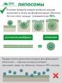 Липосомальный кальций магний цинк БАД Nutricare Liposomal 60 капсул