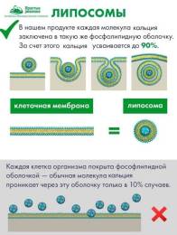 Липосомальный кальций магний цинк БАД Nutricare Liposomal 60 капсул