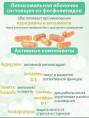 Витамины для памяти и мозга Липосомальный куркумин Ресвератрол БАД Nutricare Liposomal 60 капсул