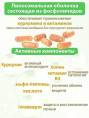 Липосомальный Куркумин Силимарин для печени Nutricare Liposomal БАД 60 капсул