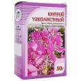 Кипрей узколистный, 50 гр.