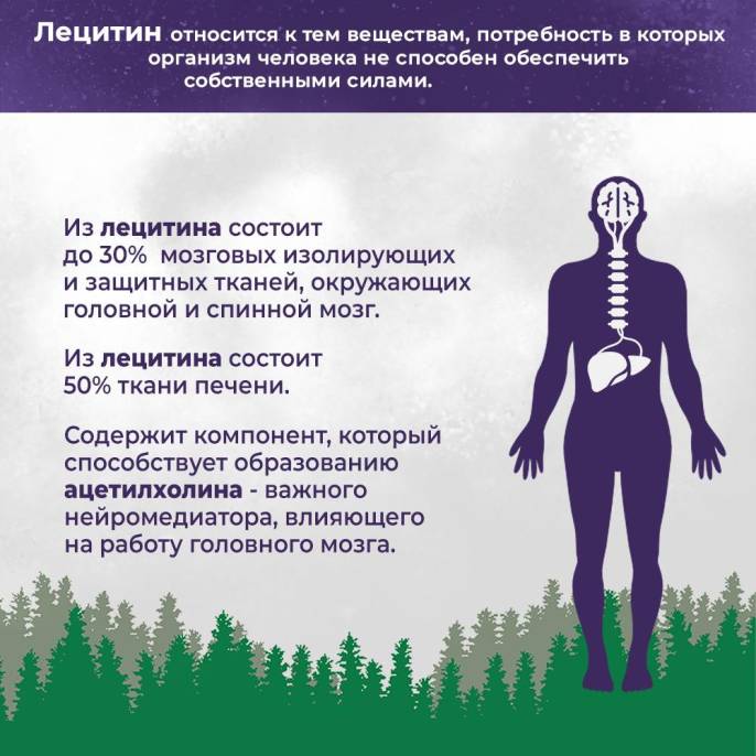 Лецитин Соевый порошковый 150г