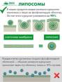 Витамины для памяти и мозга Липосомальный куркумин Ресвератрол БАД Nutricare Liposomal 60 капсул