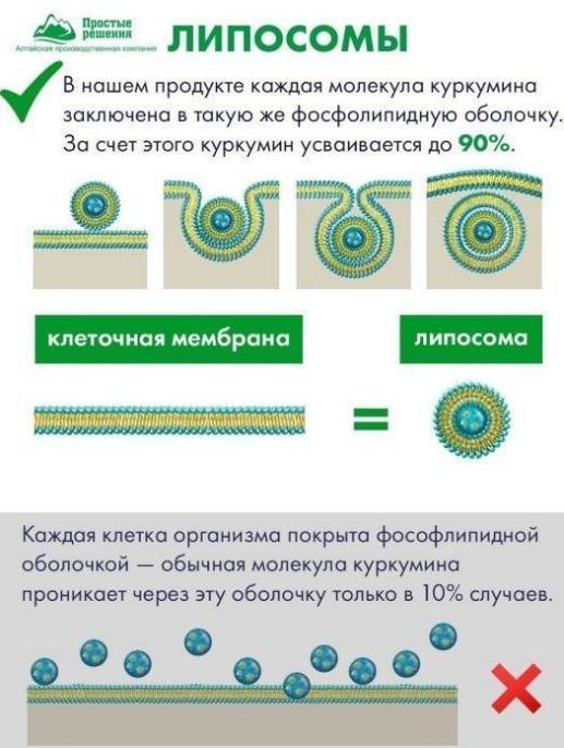 Витамины для памяти и мозга Липосомальный куркумин Ресвератрол БАД Nutricare Liposomal 60 капсул