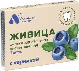 Смолка жевательная Живица с черникой 5шт