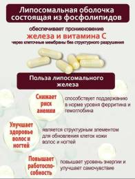 Липосомальное железо с витамином C БАД Nutricare Liposomal 60 капсул