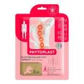 Патчи PHYTOPLAST Разогревающие для спины Имбирь 2шт