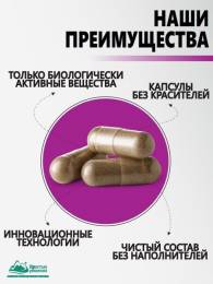 Концентрат Сахарный диабет Алтайские Традиции 60капс