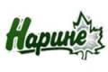 Нарине