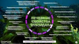 Альгифулам из бурых водорослей 30 капсул