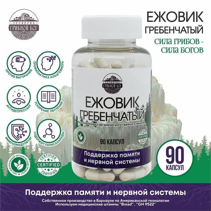 Ежовик гребенчатый мицелий Грибной бог 90 капсул