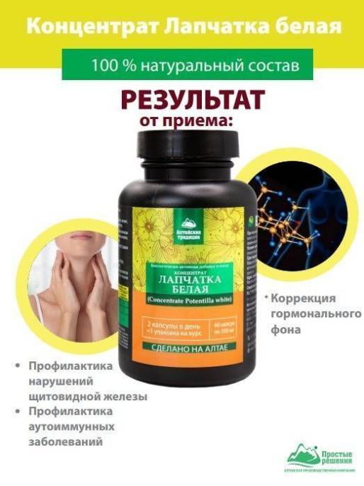 Концентрат Лапчатка белая корень Алтайские Традиции 60 капсул