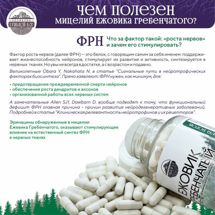 Ежовик гребенчатый мицелий Грибной бог 60 капсул