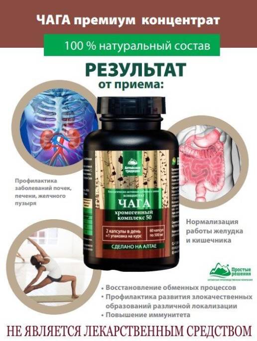 Концентрат Чага для Комплексного Оздоровления организма Алтайские традиции №60
