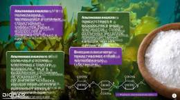 Альгифулам из бурых водорослей 30 капсул