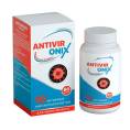AntivirOnix антивирус и иммунинет №60