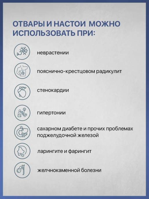 Мята чай сушеная перечная 50 гр