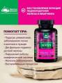 Концентрат Лопух Корень Алтайские Традиции №60